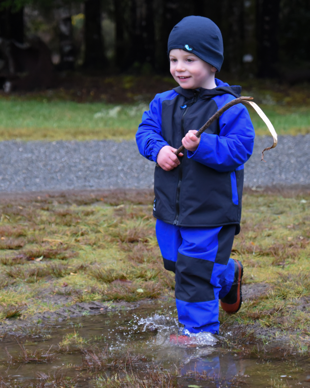 Microfleece Lined Jacket v2 – Royal/Navy